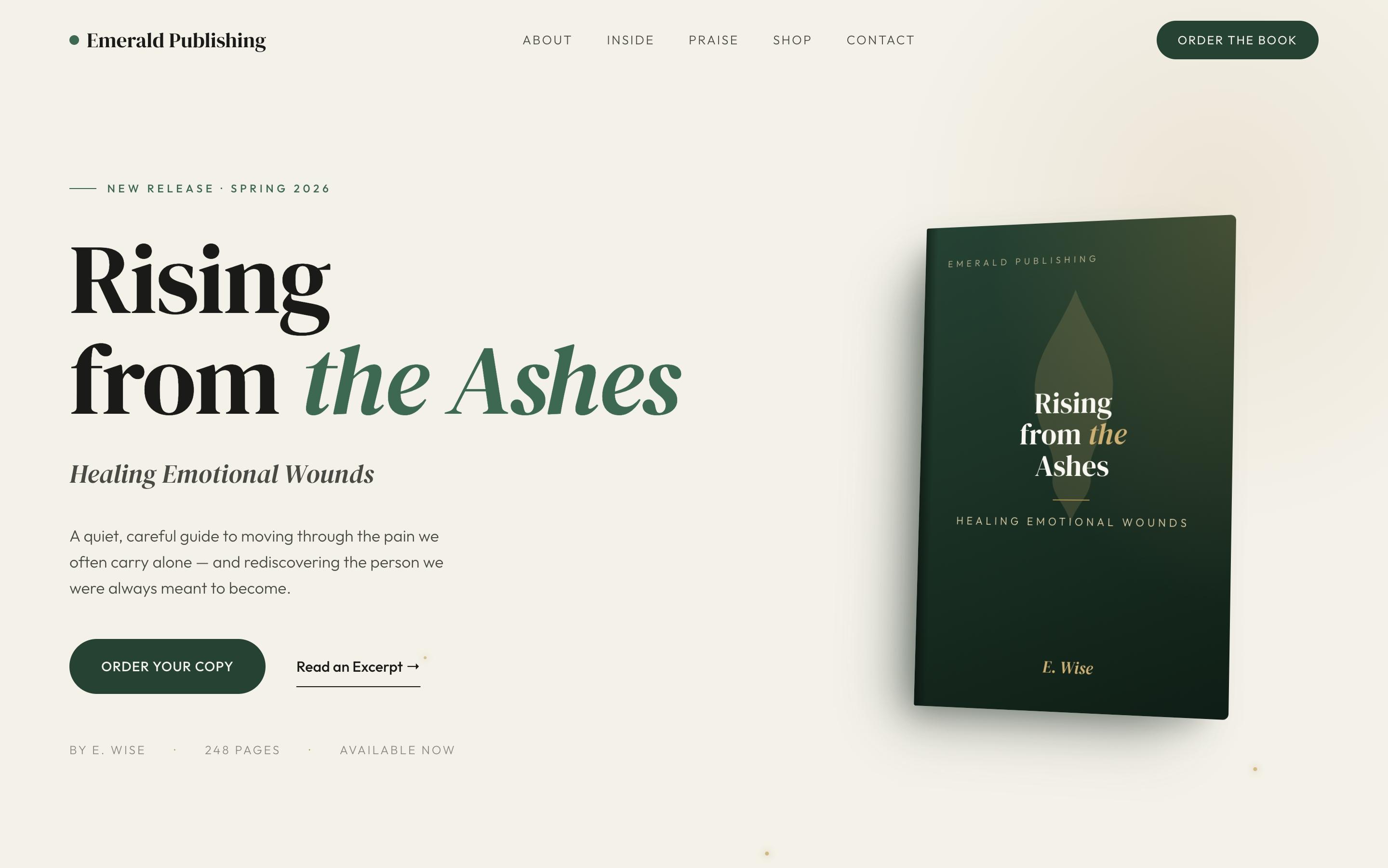 Screenshot of Rising from the Ashes — Book Launch Site